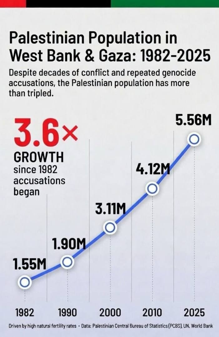 Palestinian Demography Beyond the Headlines